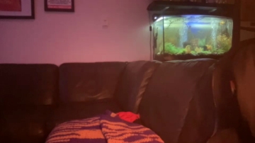 Tj_Guyxxx  13-12-2021 video chill